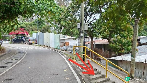 【古洞麒麟山坳至上水行山篇】古洞水塘 ➕️ 塱原濕地公園