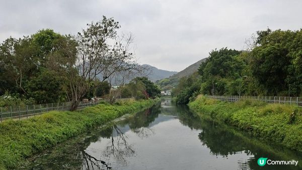 【古洞麒麟山坳至上水行山篇】古洞水塘 ➕️ 塱原濕地公園