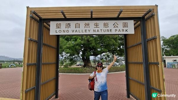 【古洞麒麟山坳至上水行山篇】古洞水塘 ➕️ 塱原濕地公園