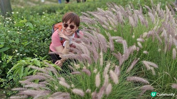 【古洞麒麟山坳至上水行山篇】古洞水塘 ➕️ 塱原濕地公園