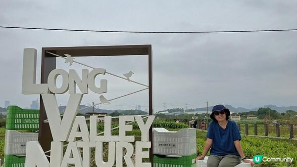 【古洞麒麟山坳至上水行山篇】古洞水塘 ➕️ 塱原濕地公園