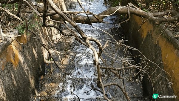 大棠行山， 適合一家大細， 享受家庭樂之餘， 還可以飽覽美景...