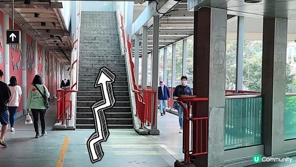 【荃錦坳至城門水塘行山篇】禾塘崗、大帽山、小丑石、雙三角石室