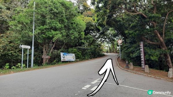 【荃錦坳至城門水塘行山篇】禾塘崗、大帽山、小丑石、雙三角石室