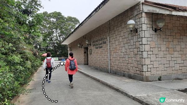 【荃錦坳至城門水塘行山篇】禾塘崗、大帽山、小丑石、雙三角石室