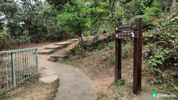 【荃錦坳至城門水塘行山篇】禾塘崗、大帽山、小丑石、雙三角石室