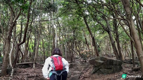 【荃錦坳至城門水塘行山篇】禾塘崗、大帽山、小丑石、雙三角石室