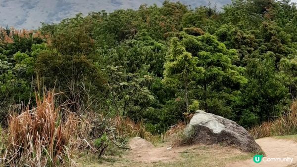 【荃錦坳至城門水塘行山篇】禾塘崗、大帽山、小丑石、雙三角石室