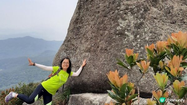 【荃錦坳至城門水塘行山篇】禾塘崗、大帽山、小丑石、雙三角石室