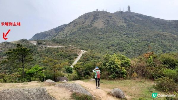 【荃錦坳至城門水塘行山篇】禾塘崗、大帽山、小丑石、雙三角石室