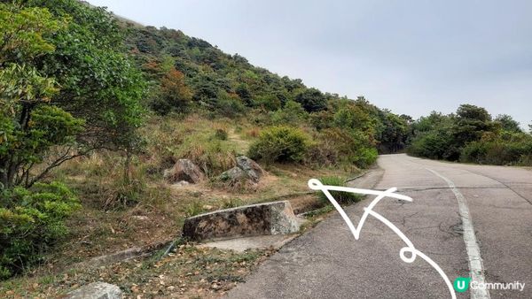 【荃錦坳至城門水塘行山篇】禾塘崗、大帽山、小丑石、雙三角石室