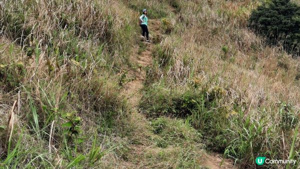 【荃錦坳至城門水塘行山篇】禾塘崗、大帽山、小丑石、雙三角石室