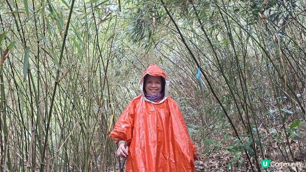 【馬鞍山大水坑至沙田廣源邨行山篇】石芽山、跨天懸門/天涯石窗