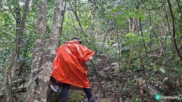 【馬鞍山大水坑至沙田廣源邨行山篇】石芽山、跨天懸門/天涯石窗
