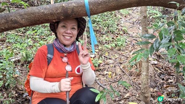 【馬鞍山大水坑至沙田廣源邨行山篇】石芽山、跨天懸門/天涯石窗