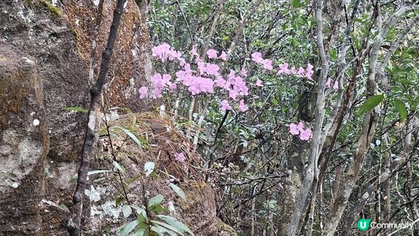 【馬鞍山大水坑至沙田廣源邨行山篇】石芽山、跨天懸門/天涯石窗