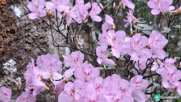 【馬鞍山大水坑至沙田廣源邨行山篇】石芽山、跨天懸門/天涯石窗