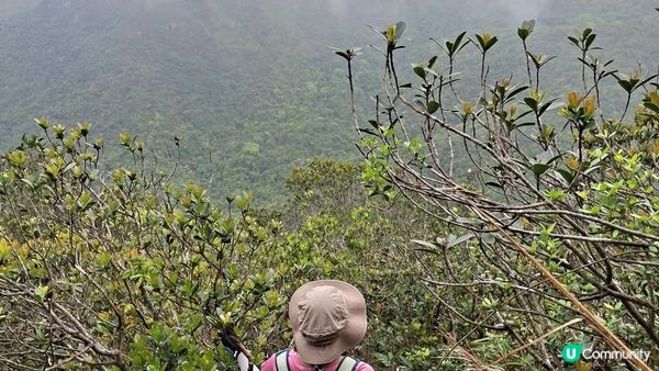 【馬鞍山大水坑至沙田廣源邨行山篇】石芽山、跨天懸門/天涯石窗