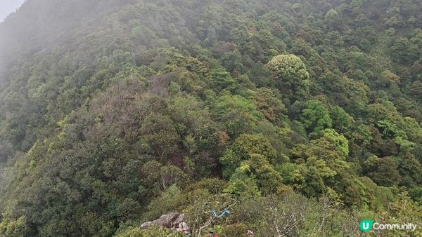 【馬鞍山大水坑至沙田廣源邨行山篇】石芽山、跨天懸門/天涯石窗