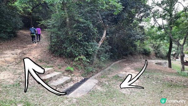 【大嶼山芝麻灣半島行山篇】大牛湖頂、十塱水塘、老人山、廟仔墩、貝澳泳灘