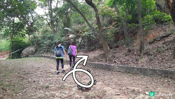 【大嶼山芝麻灣半島行山篇】大牛湖頂、十塱水塘、老人山、廟仔墩、貝澳泳灘