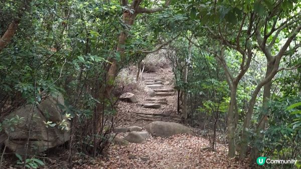 【大嶼山芝麻灣半島行山篇】大牛湖頂、十塱水塘、老人山、廟仔墩、貝澳泳灘