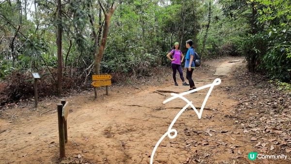 【大嶼山芝麻灣半島行山篇】大牛湖頂、十塱水塘、老人山、廟仔墩、貝澳泳灘