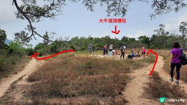 【大嶼山芝麻灣半島行山篇】大牛湖頂、十塱水塘、老人山、廟仔墩、貝澳泳灘