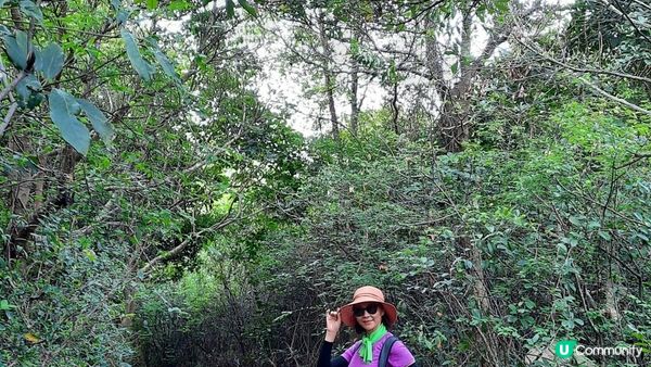 【大嶼山芝麻灣半島行山篇】大牛湖頂、十塱水塘、老人山、廟仔墩、貝澳泳灘