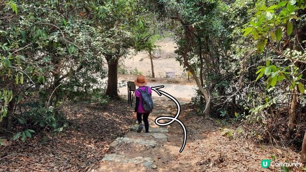 【大嶼山芝麻灣半島行山篇】大牛湖頂、十塱水塘、老人山、廟仔墩、貝澳泳灘