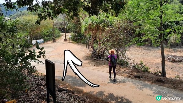 【大嶼山芝麻灣半島行山篇】大牛湖頂、十塱水塘、老人山、廟仔墩、貝澳泳灘