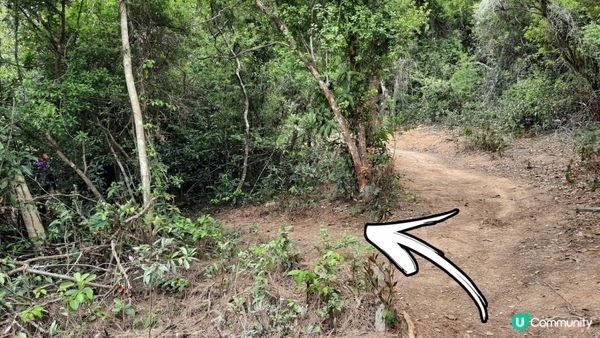 【大嶼山芝麻灣半島行山篇】大牛湖頂、十塱水塘、老人山、廟仔墩、貝澳泳灘