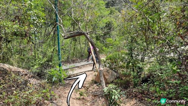 【大嶼山芝麻灣半島行山篇】大牛湖頂、十塱水塘、老人山、廟仔墩、貝澳泳灘