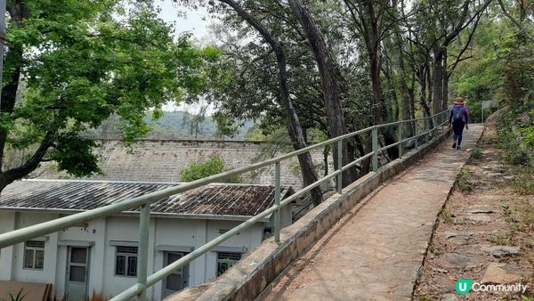 【大嶼山芝麻灣半島行山篇】大牛湖頂、十塱水塘、老人山、廟仔墩、貝澳泳灘