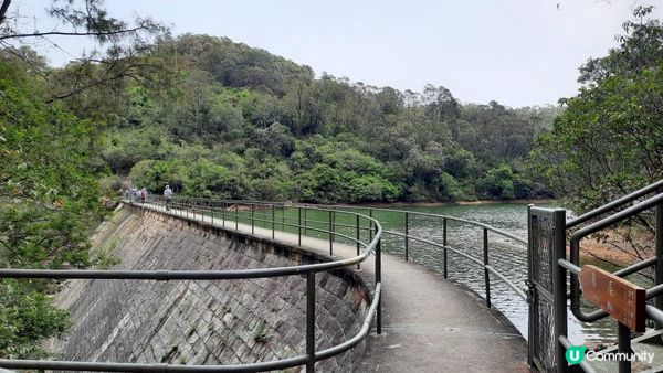 【大嶼山芝麻灣半島行山篇】大牛湖頂、十塱水塘、老人山、廟仔墩、貝澳泳灘