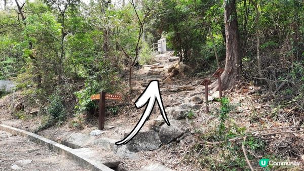 【大嶼山芝麻灣半島行山篇】大牛湖頂、十塱水塘、老人山、廟仔墩、貝澳泳灘