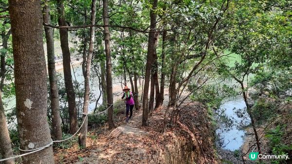 【大嶼山芝麻灣半島行山篇】大牛湖頂、十塱水塘、老人山、廟仔墩、貝澳泳灘
