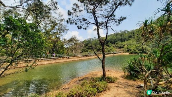 【大嶼山芝麻灣半島行山篇】大牛湖頂、十塱水塘、老人山、廟仔墩、貝澳泳灘