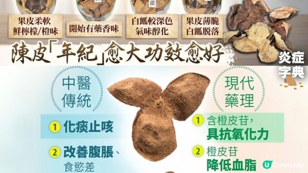 #一杯陳皮水 🍊幫你祛濕醒神😴