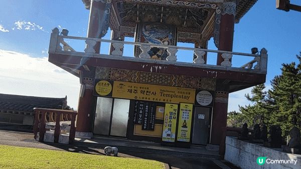 韓國濟州島 一個寧靜舒適休閒去旅行的好地方。繁華中帶寧靜，使...