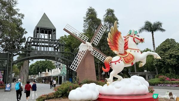 說好的花海呢? 深圳南山區荷蘭花卉小鎮