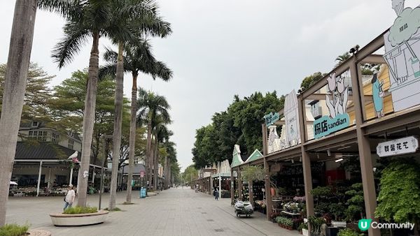 說好的花海呢? 深圳南山區荷蘭花卉小鎮