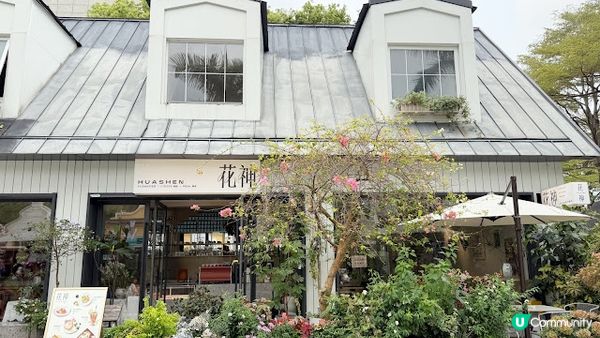 說好的花海呢? 深圳南山區荷蘭花卉小鎮