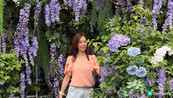 說好的花海呢? 深圳南山區荷蘭花卉小鎮