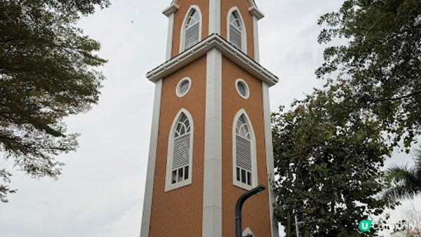 說好的花海呢? 深圳南山區荷蘭花卉小鎮