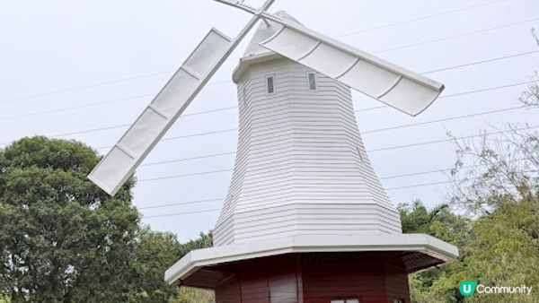 說好的花海呢? 深圳南山區荷蘭花卉小鎮
