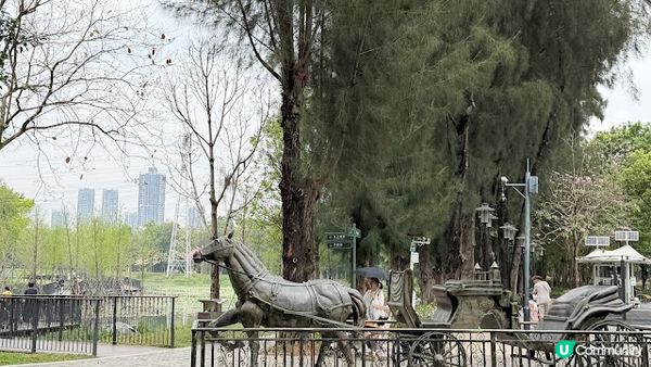 說好的花海呢? 深圳南山區荷蘭花卉小鎮