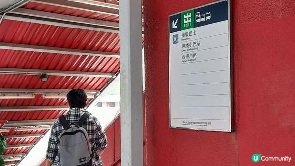 【荃灣油柑頭至大欖轉車站行山篇】石龍拱、蓮花山廢校、蓮花山、鱷魚朝天、河背水塘