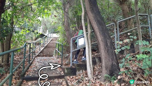 【荃灣油柑頭至大欖轉車站行山篇】石龍拱、蓮花山廢校、蓮花山、鱷魚朝天、河背水塘
