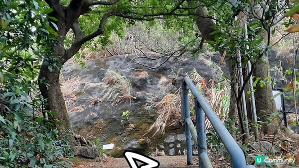 【荃灣油柑頭至大欖轉車站行山篇】石龍拱、蓮花山廢校、蓮花山、鱷魚朝天、河背水塘